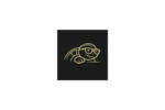 turtle-+-ev-labs