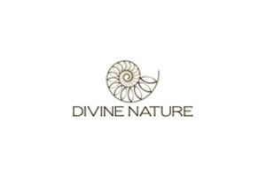 Divine Nature