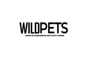 wild-pets