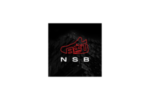 nsb-bot