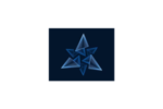 trinity-trading-partners