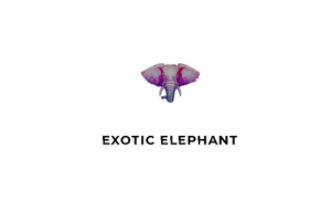 exotic-elephant